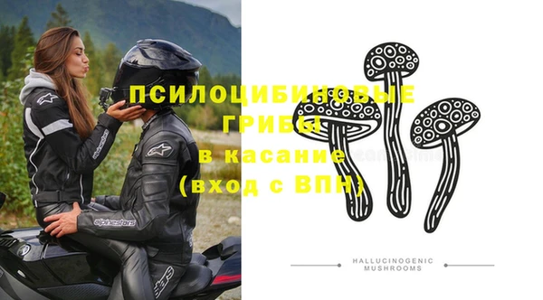гидра Абдулино