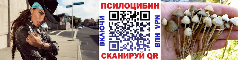 Галлюциногенные грибы ЛСД Торжок