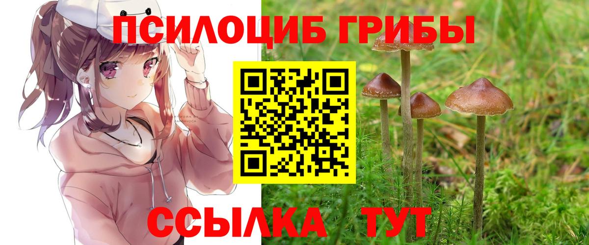 Псилоцибиновые грибы мухоморы Торжок