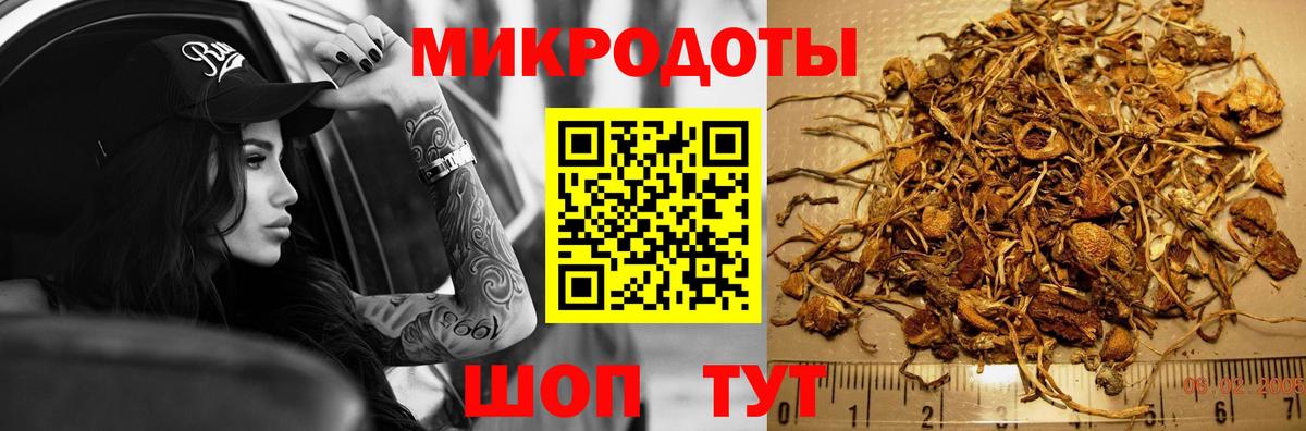 что такое наркотик  Галлюциногенные грибы мухоморы  Вход с VPN  Торжок 